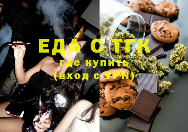 гашик Алексин
