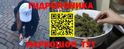 гидра Обнинск